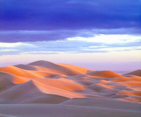USA, California, Glamis Sand Dunes at sunset